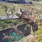 FIRE　夢だらけ夢まみれ