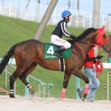 『【移籍馬情報】ホッカイドウ競馬・冬季2歳移籍馬情報 ~Vol.10 愛知編~』の画像