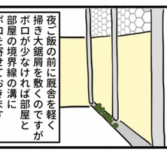 止まることのない風花の成長記録