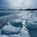 流氷どころかガチガチのボストンの海