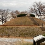 大阪の歴女と歴犬