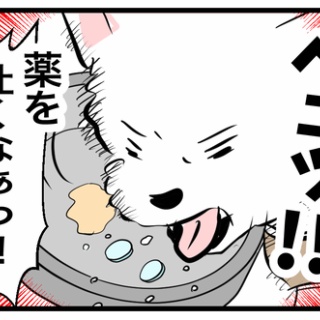 ちーちゃんっ🐾