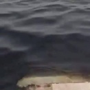 ❝ イランが原油をペルシャ湾に投棄 ❞