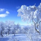 ふるさとの　雪は花とぞ　降り積もる　ながむる我も 思ひ消えつつ