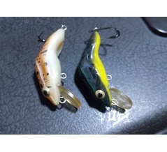 ウィーフロッグ