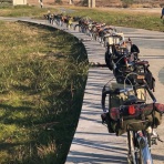 ランドナー補完計画