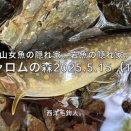 【フライフィッシング】釣れたことより、感心したこと。
