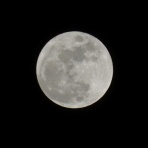 日常とプログラム 50.1.0