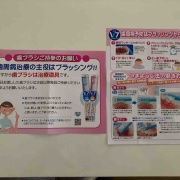ѥޥΤԤ41٤Υƥʥ
