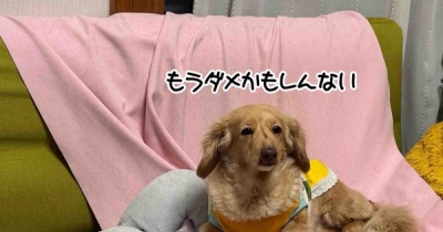 遅く帰った日。