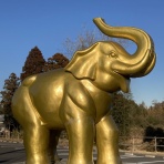 はぎもんの日記