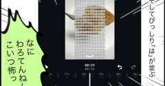それは「ごめんね。」で始まった（ちょいホラー回）