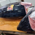 mimokasagoの「晴れの国」暮らし