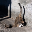 すっぽり。