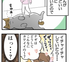 【猫マンガ】猫の視線で思い出したこと