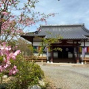 【報告】世間では聞けない仏の話を聞く降誕会法座