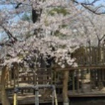 山階照雄の日記帖