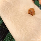 2度目のコーヒー染め