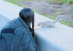 【衝撃】齋藤飛鳥さん、超絶可愛いあの動物と初共演ｗｗｗｗｗｗ