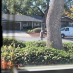 カリフォルニアのばあさんブログ