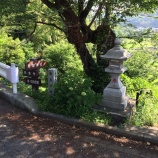 『【厳島神社・神奈川】〜パワースポット〜』の画像