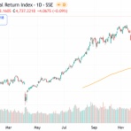 村越誠の投資資本主義