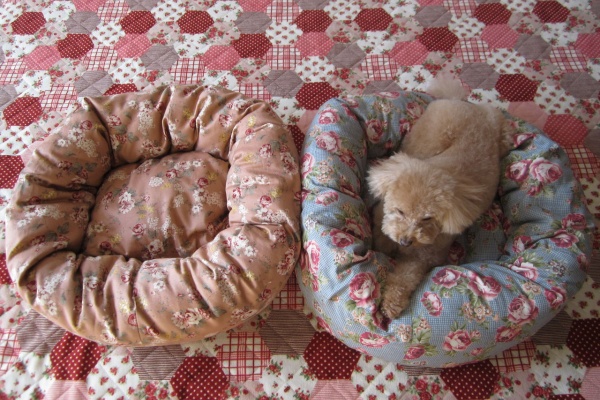 気ままな毎日 花とトイプードルに囲まれた生活 手作りペットベッド