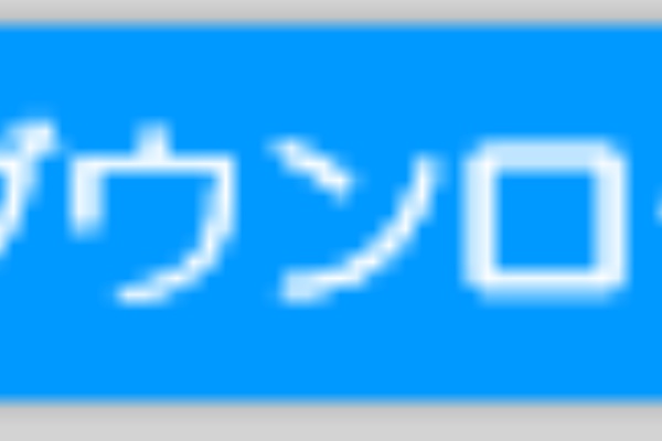 法人税申告書別表の様式と書き方 平成25年4月1日以後に終了する事業年度 法人税法施行規則別表十