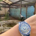 【提案】ハァ出張だ…何を着けてく？旅情を高める腕時計7選