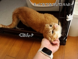 あのジーローがついに落ちた♪