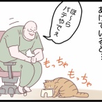 ネコ飼いの飼いネコまんが ねこボイ