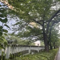 心と身体を整える「チャクラキリヨガ®」
