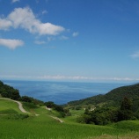 『一問一答（新田）』の画像