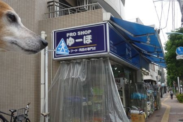 まるとお散歩diary ゆーほ