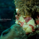 このまま週末、連休と進みたい！！