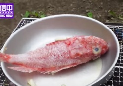 【乃木坂46】あの魚はイサキだったのか、イサキではなかったのか