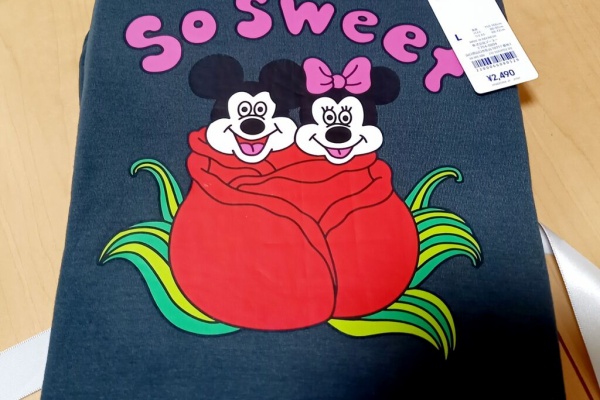 ときどきお泊りディズニー 都内から 21