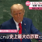 フシギドッグ