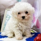 新しい子が仲間入りしました