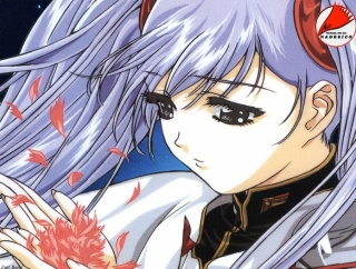 子供ワイ「機動戦艦ナデシコはユリカが好き」大人ワイ「ルリルリのナデシコという居場所を大切に思ｒｙ」