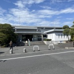 ディスカスの逍遥日誌