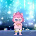 ８月お花相場情報