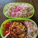 今週のお弁当