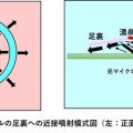 私の光マイクロバブル入浴研究Ⅲ(100回記念)光マイクロバブル足浴（3）