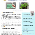 『結だより vol.61』8月号