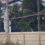 『週刊マンガライレポートVol.234』の画像