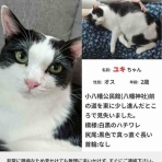 三度の飯＜犬と猫
