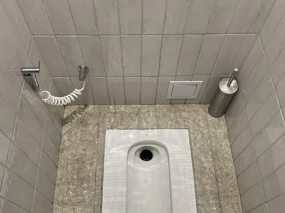 和式便所みたいなタイプのトイレって世界ではポピュラーなの？