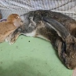 うのくらし