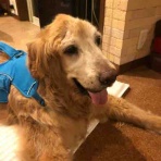 ゆきジャズハーティ・ワンダーランド